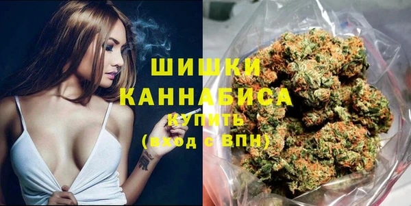 хмурый Карпинск