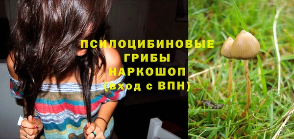 молекула духа Инта